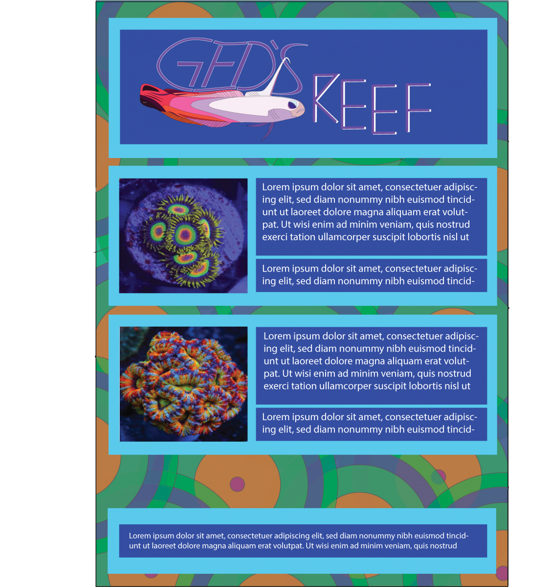 geds reef web layout.png