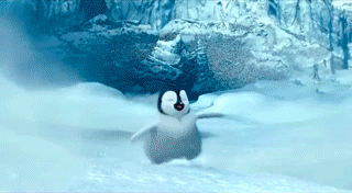 giphy (1).gif
