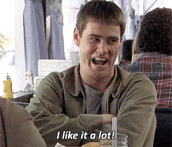 giphy (10).gif