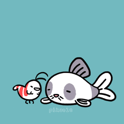 giphy (14).gif