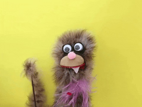 giphy-2.gif