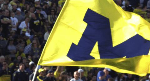 giphy (2).gif