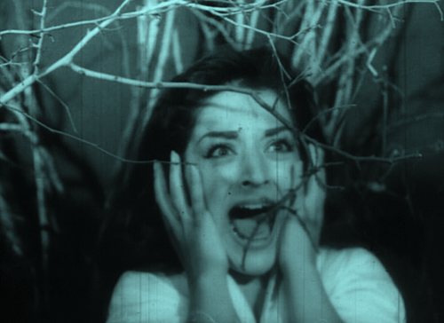 giphy (2).gif