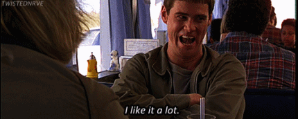 giphy (2).gif
