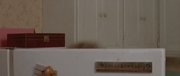 giphy (3) (1).gif