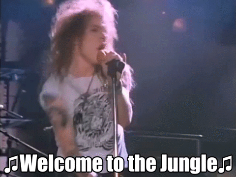 giphy (5).gif