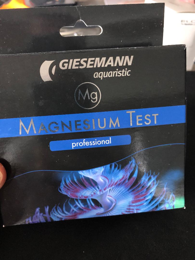 Gisser mag.jpeg