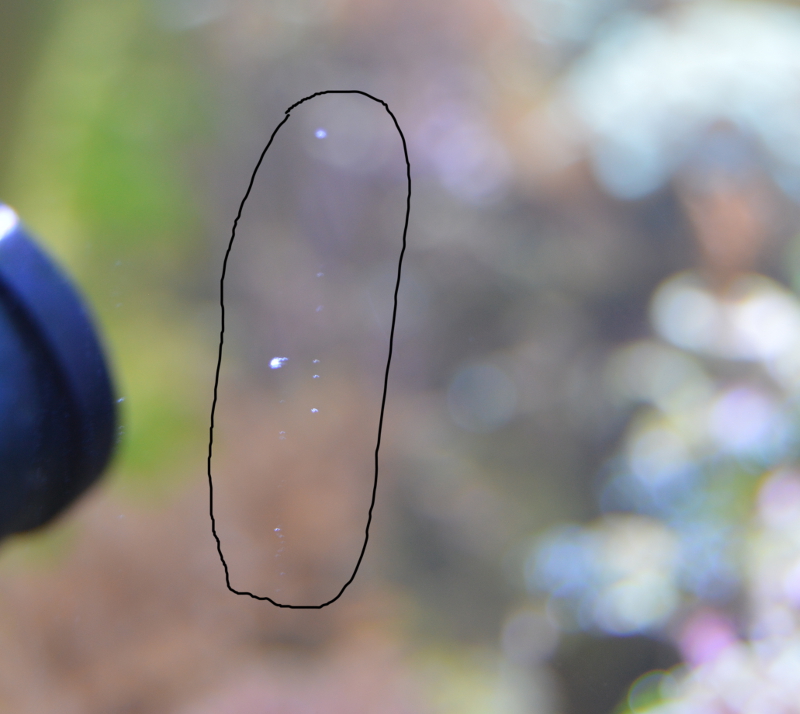 glass.JPG
