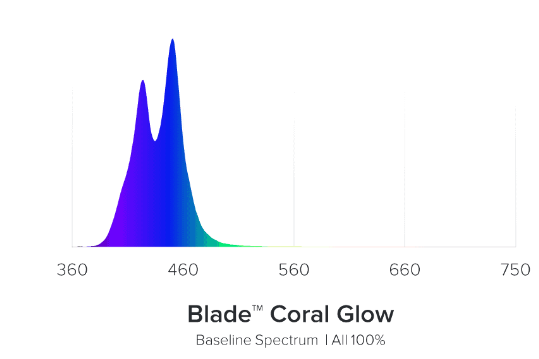glow.png