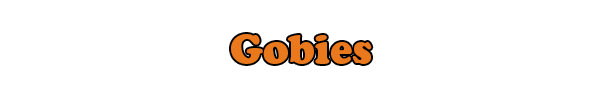 gobies.png