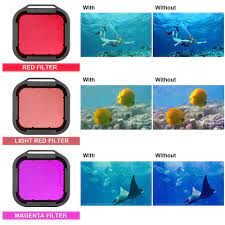 The Optimal Light Spectrum in a Reef Aquarium | Page 6 | Reef2Reef