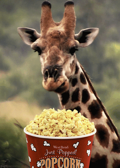 Graf eating popcorn.gif