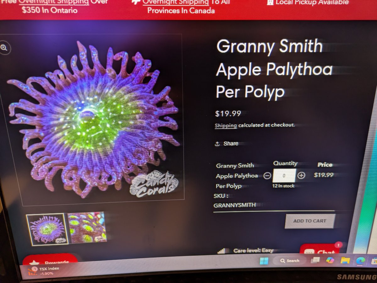 Granny Smith Apple Pathoa.jpg