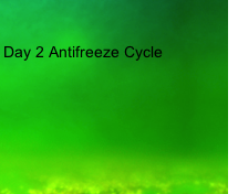 Green Aquarium.png