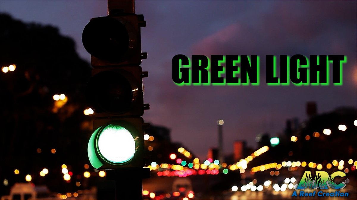 green light (1).jpg