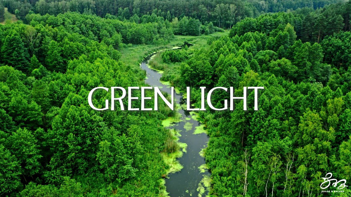 GREEN LIGHT.jpg