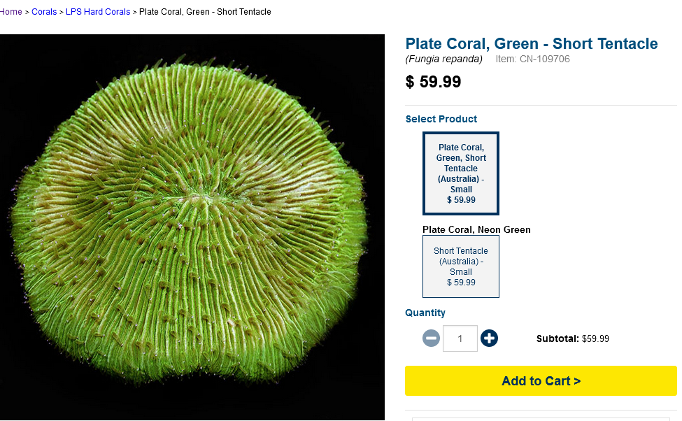 Green.png