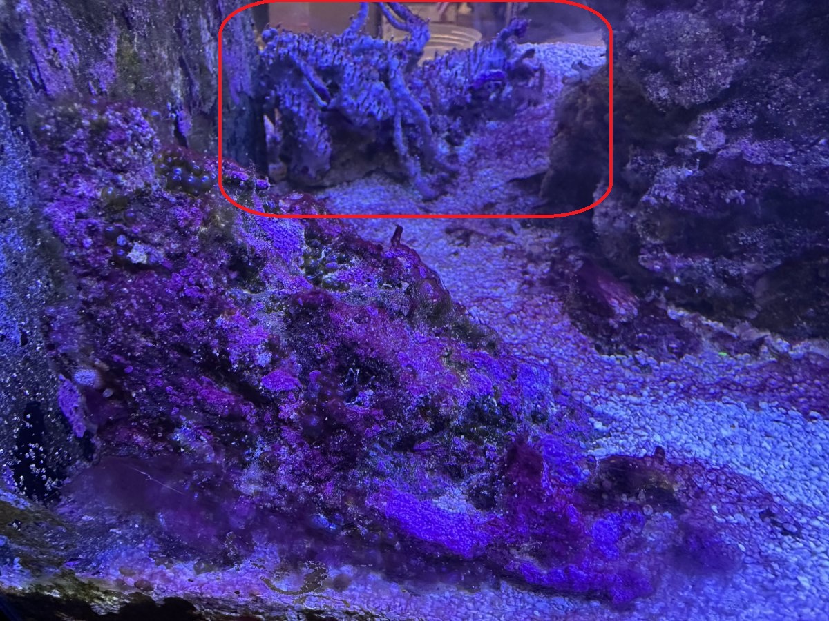GSP 2.jpeg