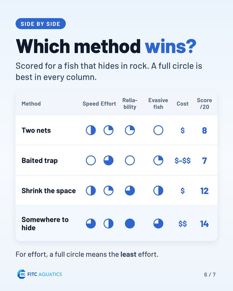 Guide carousel 6 (Instagram).jpg