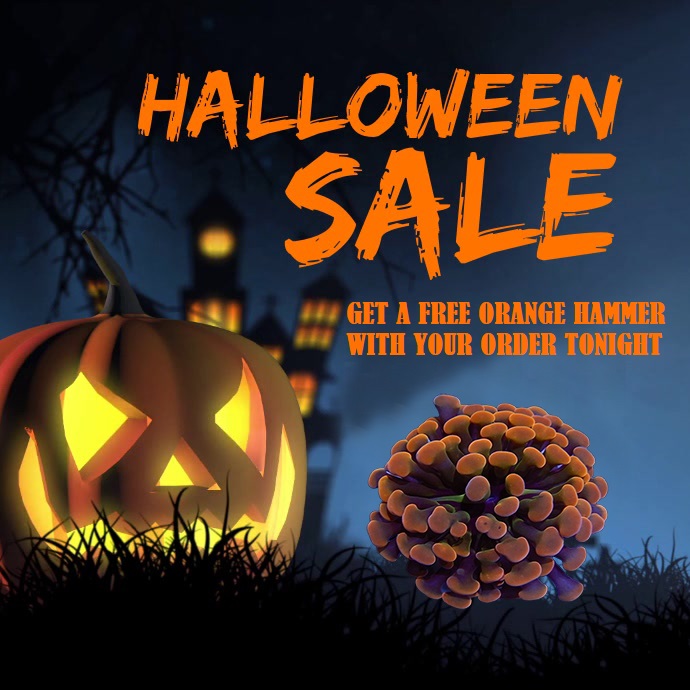 halloween-sale-design-template-10408a8b3d69a15a840565b96331c5d5_screen.jpg