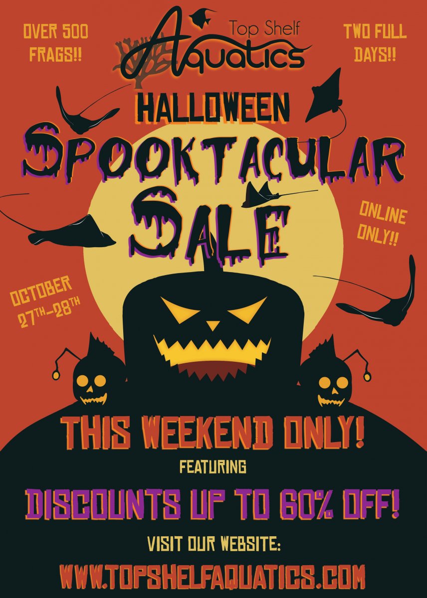 Halloween Sale Flyer.jpg