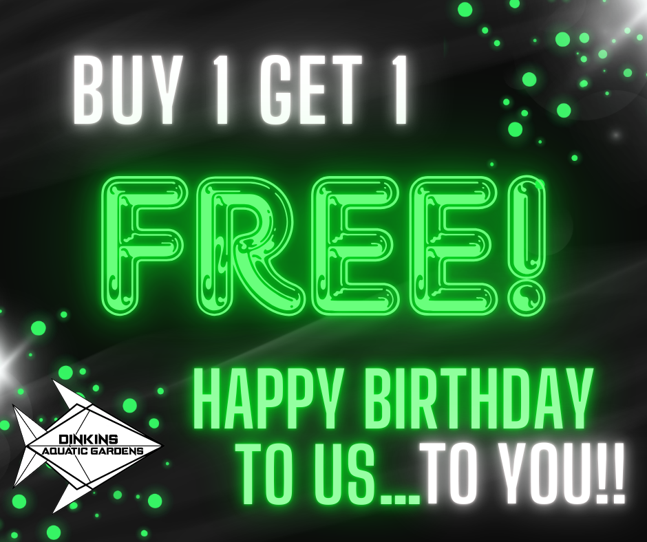Happy birthday to us…to you!!.png