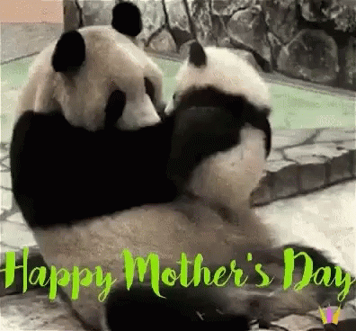 happy-mothers-day-panda.gif