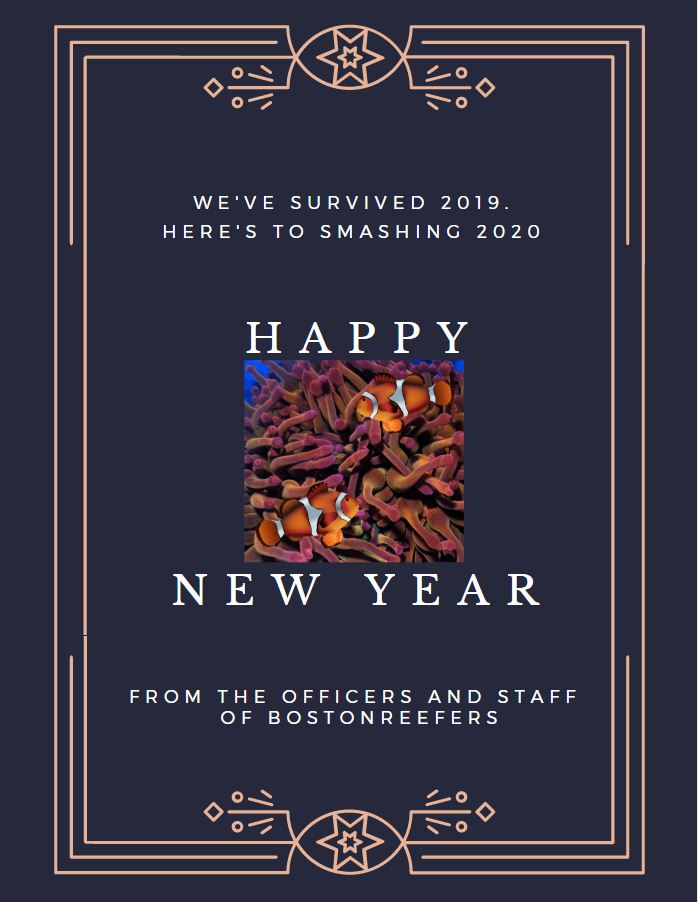 Happy New Year 2020.JPG