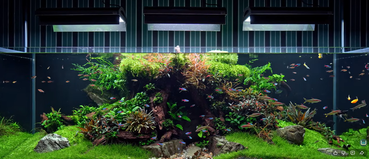 hardscape.png