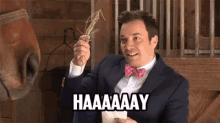 hay.gif