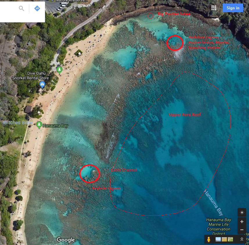 hbay.png