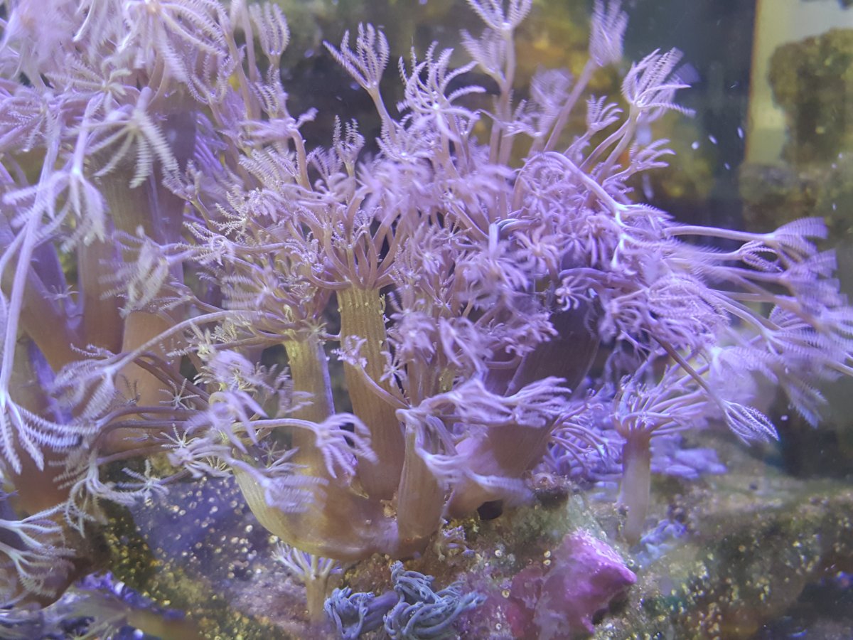 hdr_00059_normal.jpg