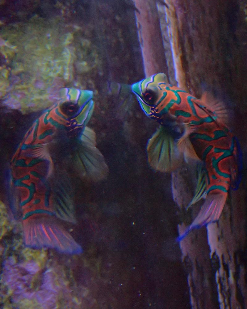 Hello.jpg