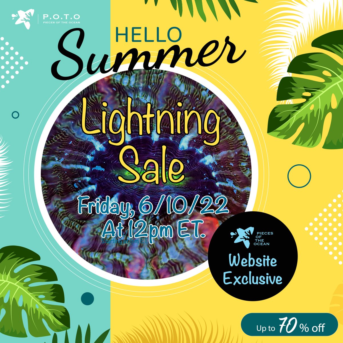 hello-summer-lightning-sale-6-22.jpg