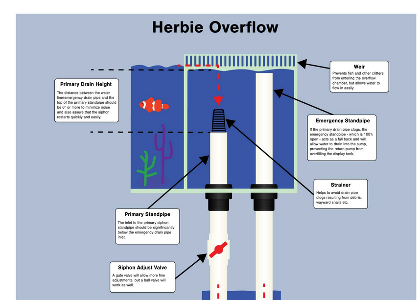 herbie overflow.png