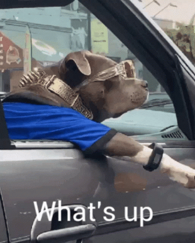 hi-hello-there.gif