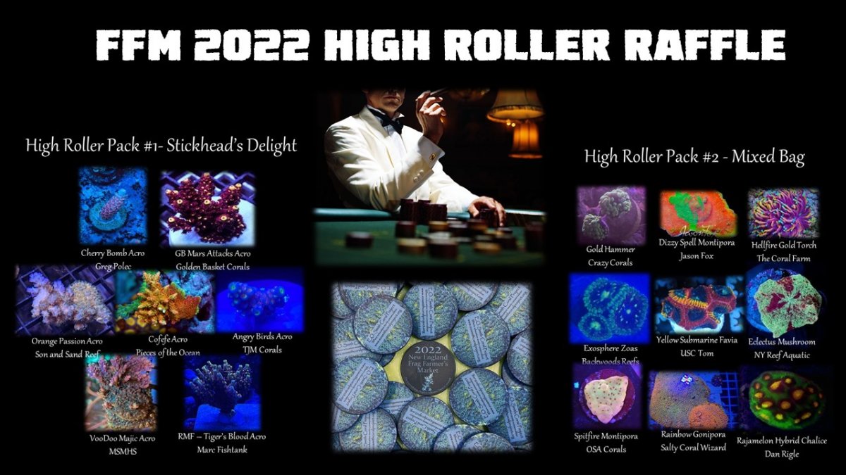 High Roller.jpg