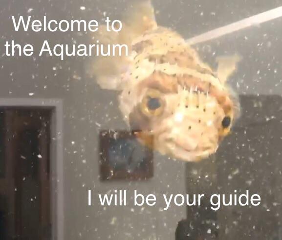 hmq3h7y4rxv21.jpg