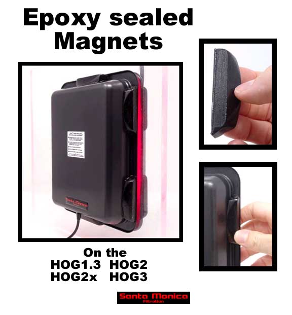 hog molded.JPG