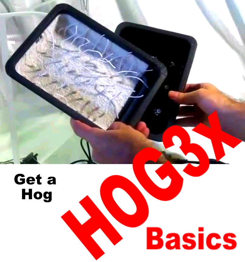 HOG3x-basics-thumb.jpg