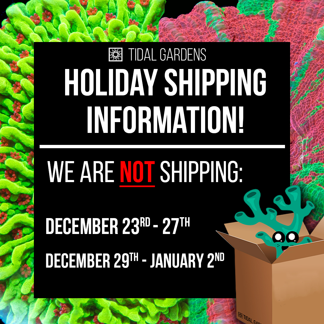 Holiday-Shipping-Social.jpg