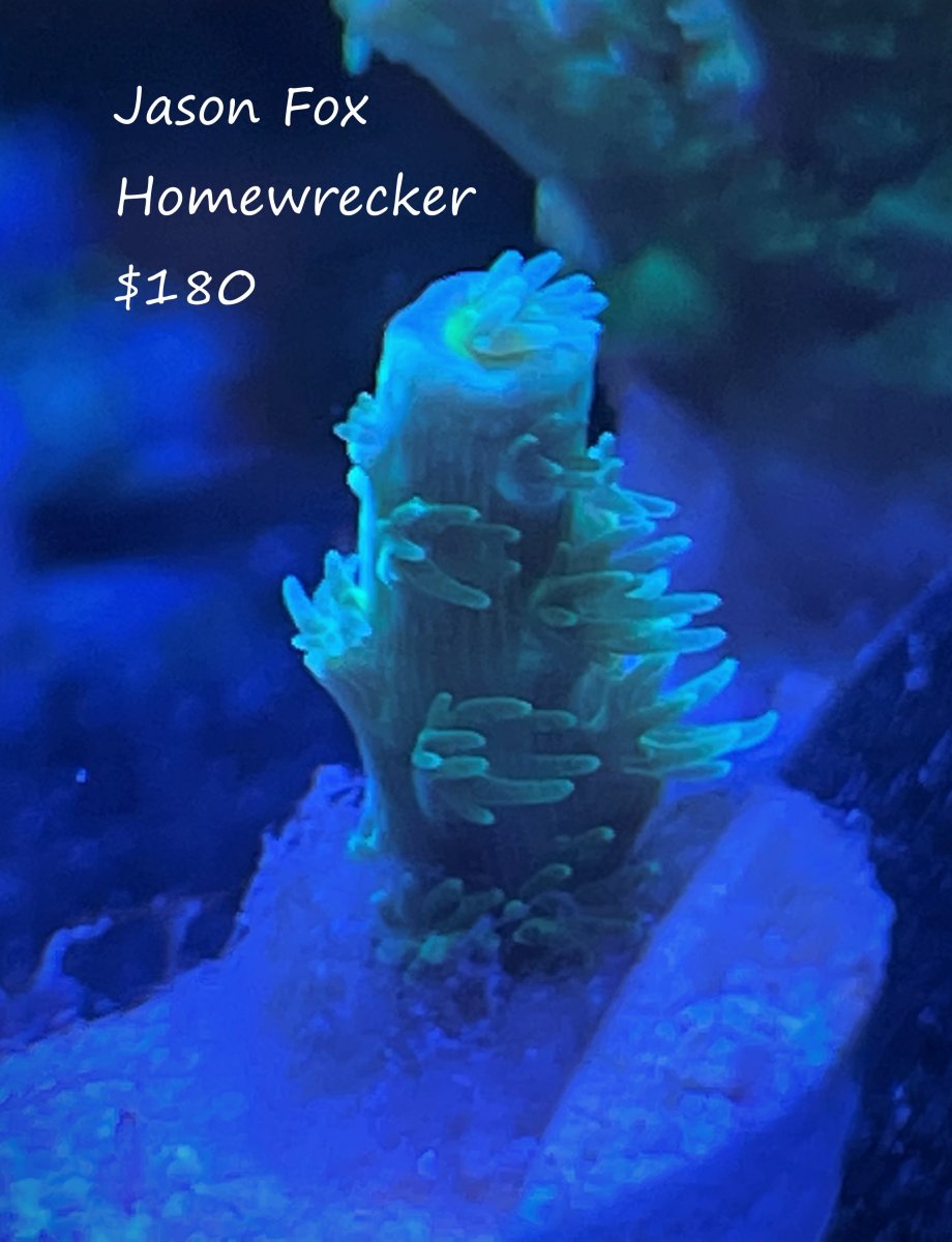 Homewrecker $180.jpg
