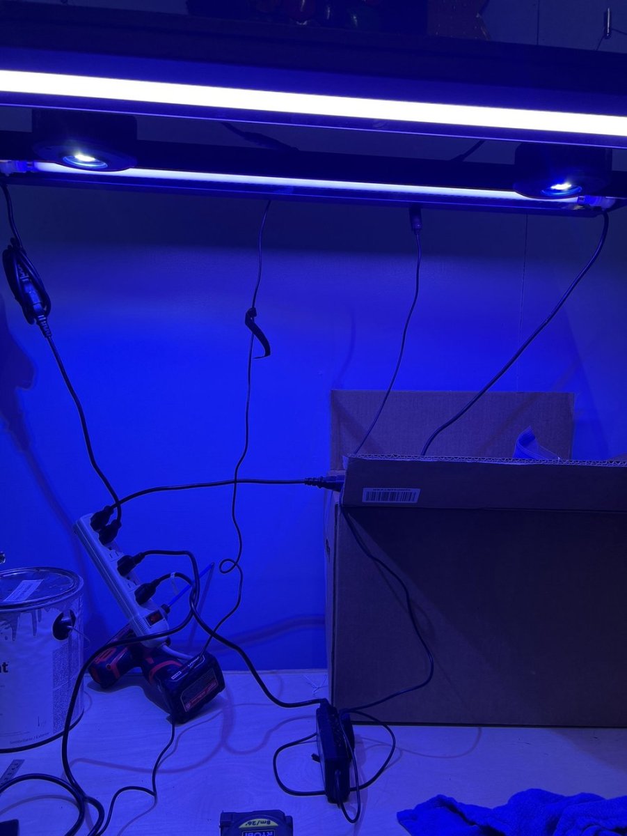 hybridtest2.jpeg