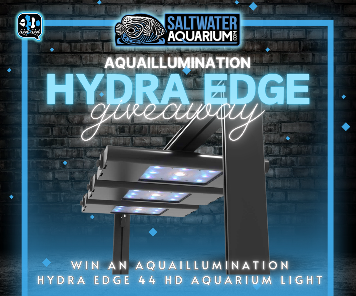 Hydra Edge.png
