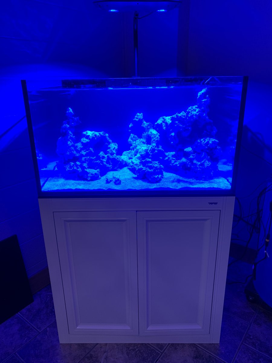 IM EXT75 with kessil 1.jpeg