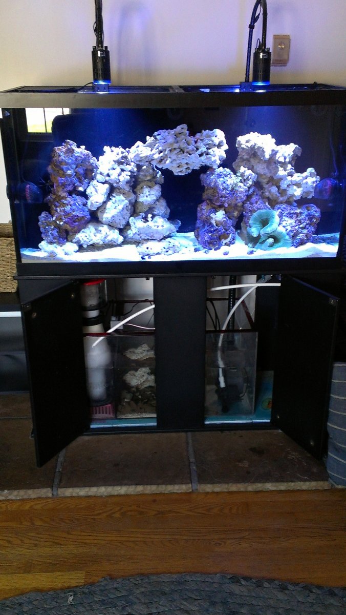 IMAG0004.jpg