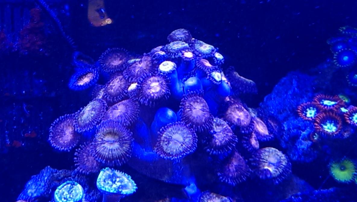 IMAG0009.jpg