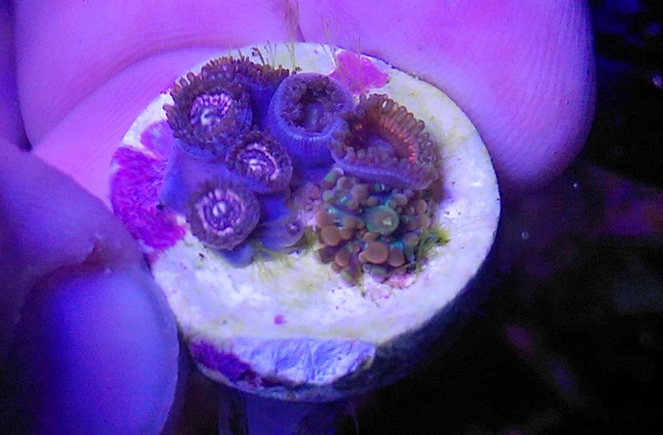 IMAG00098.jpg