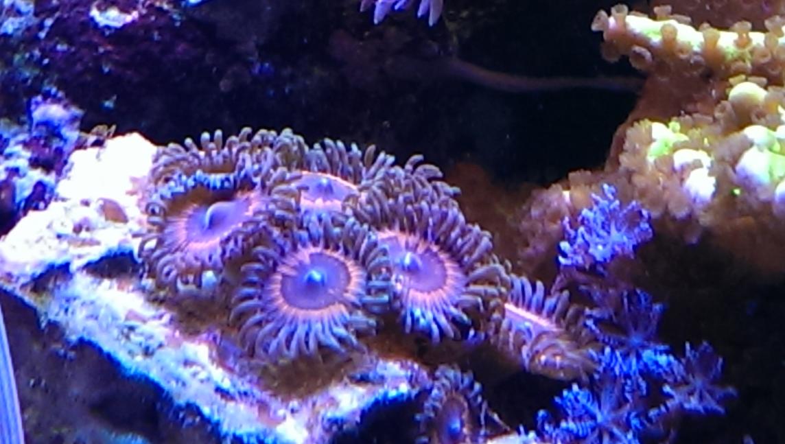 IMAG0022.jpg