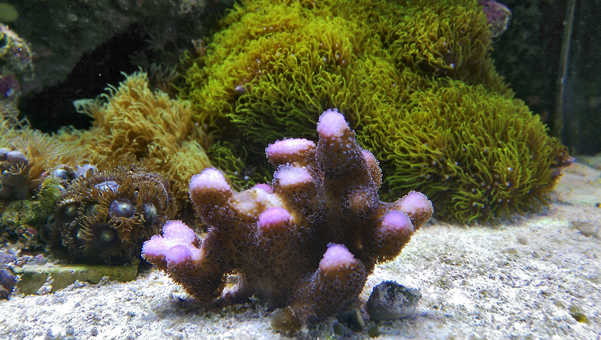 IMAG0023.jpg